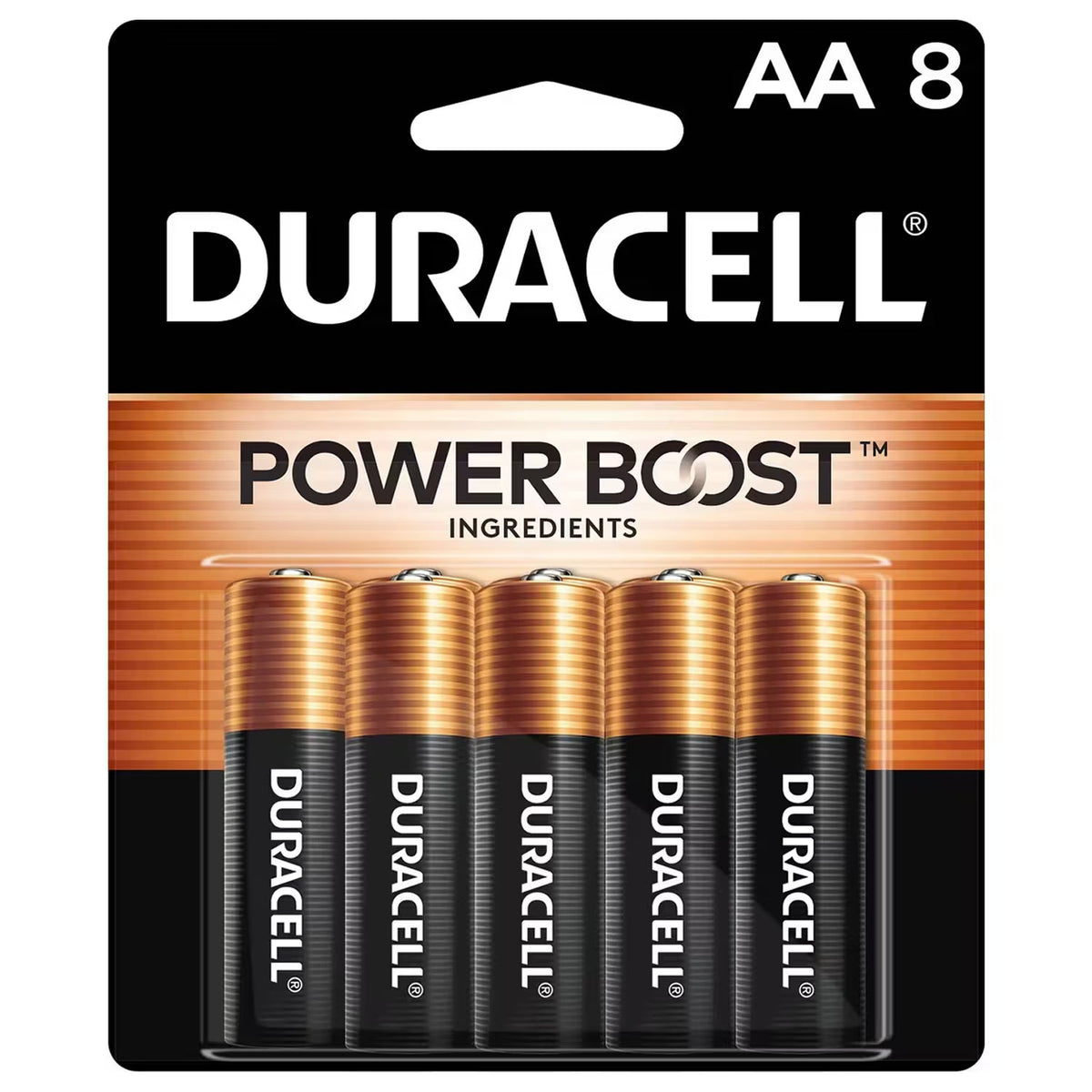 Duracell Coppertop AA Alkaline Batteries 48-Pack